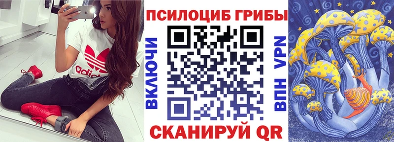 Купить  Киров  Псилоцибиновые грибы GOLDEN TEACHER 